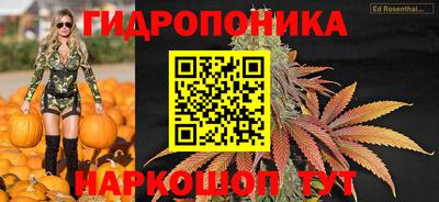 скорость Заводоуковск