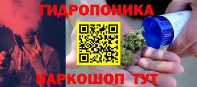 скорость Заводоуковск