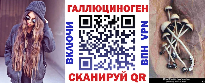 наркошоп  Саки  Псилоцибиновые грибы MAGIC MUSHROOMS 