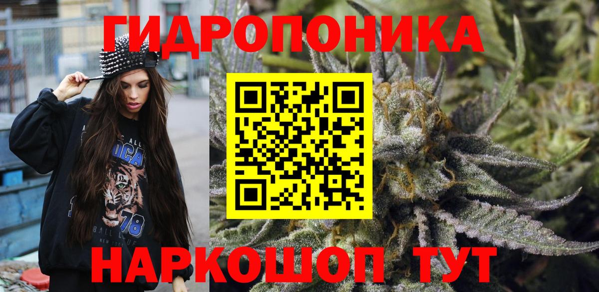 Шишки марихуана VHQ  Бошки марихуана Bruce Banner  Саки  Бошки марихуана планчик  Вход с VPN 
